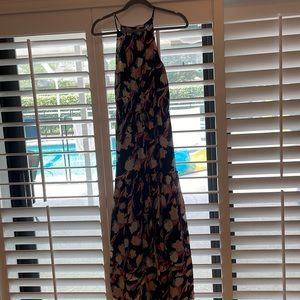 Joie Dress with Cotton Liner inside